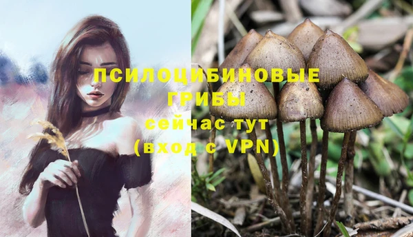 экстази Переславль-Залесский