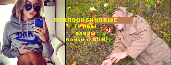 экстази Переславль-Залесский