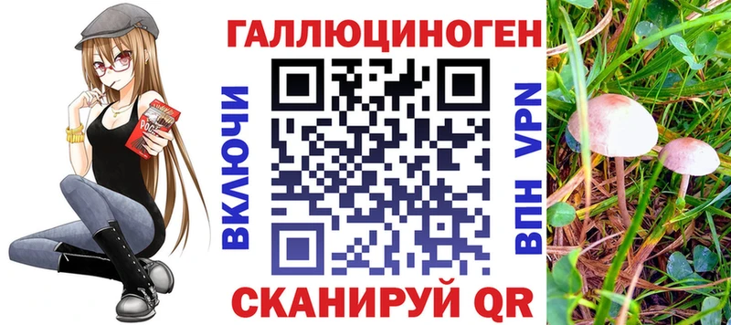 дарк нет официальный сайт  Сокол  Псилоцибиновые грибы GOLDEN TEACHER  магазин  наркотиков 
