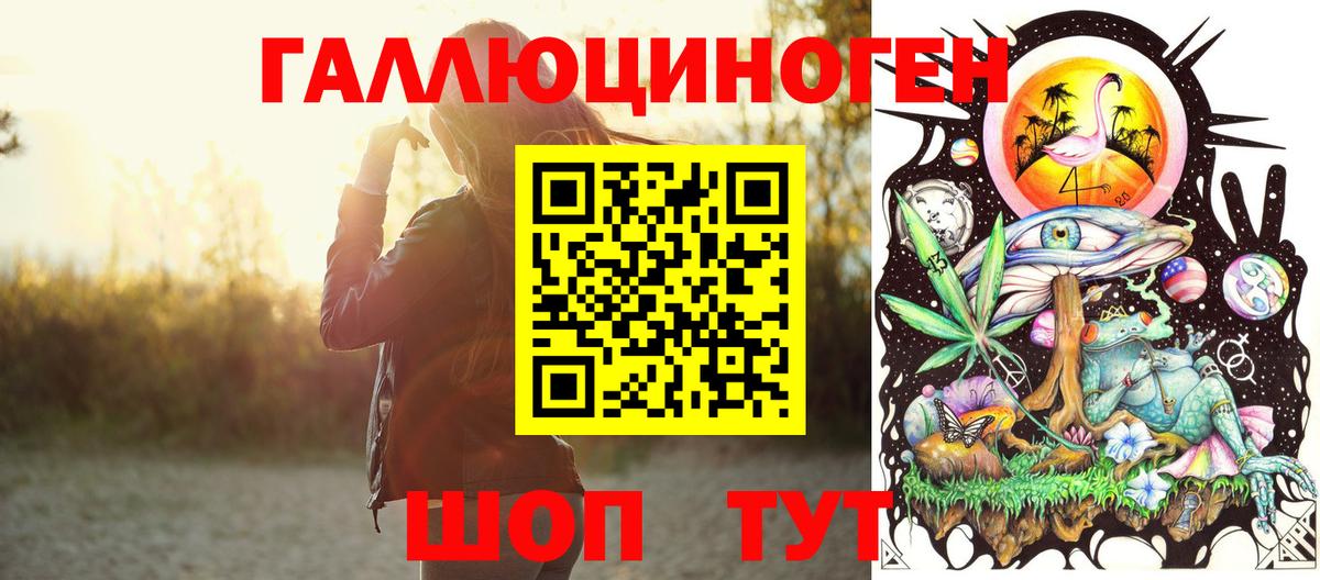 Сокол  Галлюциногенные грибы MAGIC MUSHROOMS  Галлюциногенные грибы GOLDEN TEACHER  Вход с VPN 