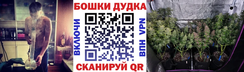 Каннабис ГИДРОПОН  купить   Сокол 