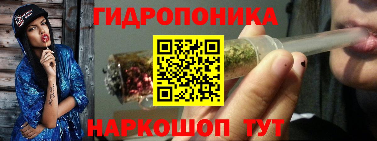 Конопля AK-47  Конопля план  Вход с VPN  Сокол  Каннабис VHQ 